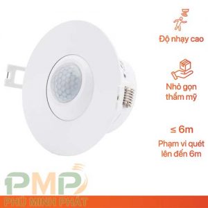 Cảm biến hiện diện FPT