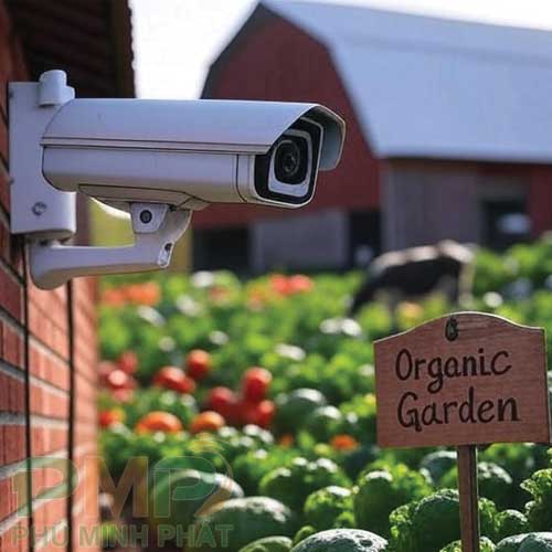 Lắp đặt camera cho vườn rau Lắp đặt camera cho vườn rau