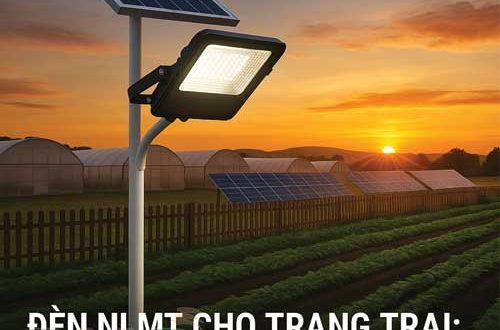 Lắp đặt đèn năng lượng mặt trời tiết kiệm điện cho trang trại