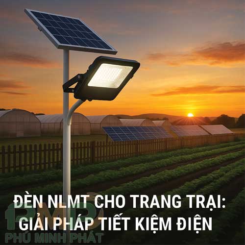 Lắp đặt đèn năng lượng mặt trời tiết kiệm điện cho trang trại