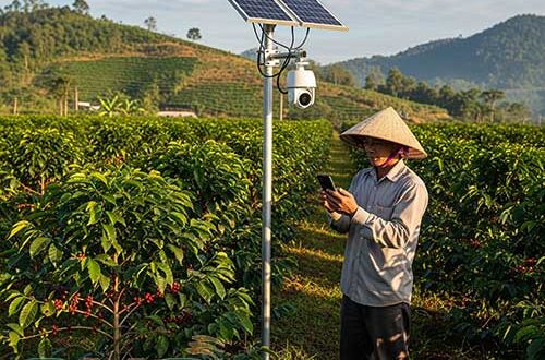 Lắp camera giám sát năng lượng mặt trời cho rẫy xa nhà