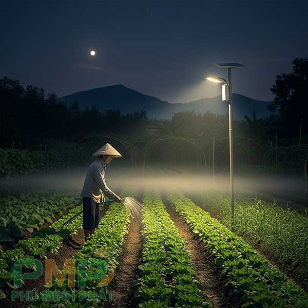 Lắp đặt đèn năng lượng mặt trời cho vườn rau ở Đức Trọng Lắp đặt đèn năng lượng mặt trời cho vườn rau ở Đức Trọng