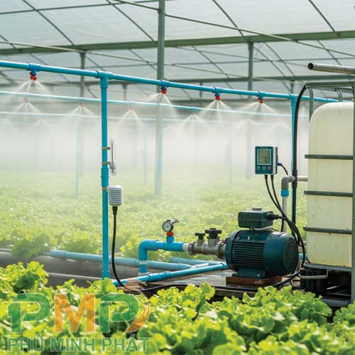 Lắp đặt hệ thống tưới tự động cho vườn rau xà lách