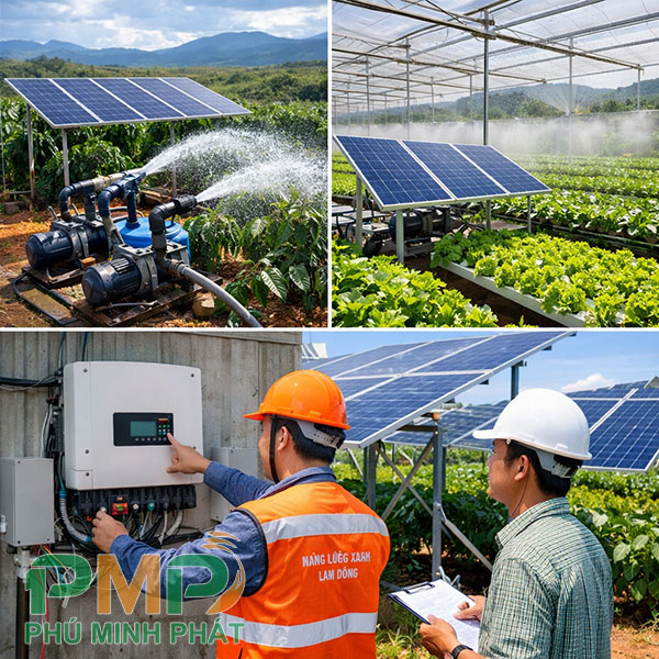 Lắp đặt điện năng lượng mặt trời tưới cây tại Lâm Đồng Lắp đặt điện năng lượng mặt trời tưới cây tại Lâm Đồng